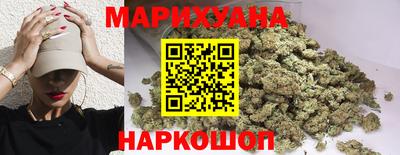 сатива Чебаркуль