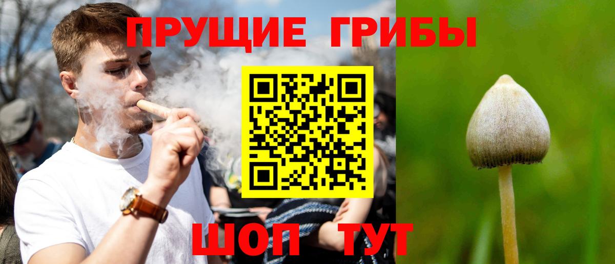 Псилоцибиновые грибы MAGIC MUSHROOMS  Вход с VPN  Псилоцибиновые грибы мицелий  Хабаровск 